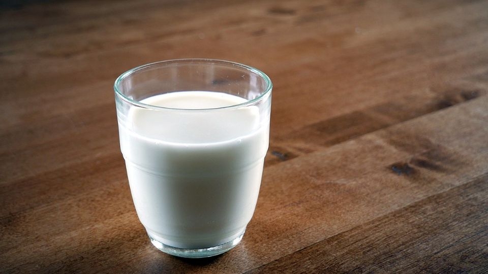 Sữa tươi giúp cải thiện hệ miễn dịch hiệu quả
