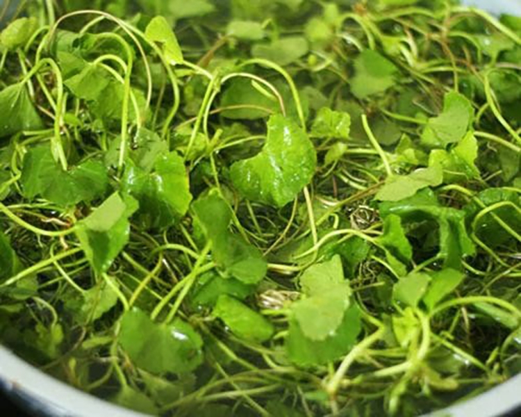 Rau má xào tỏi (hình 2)