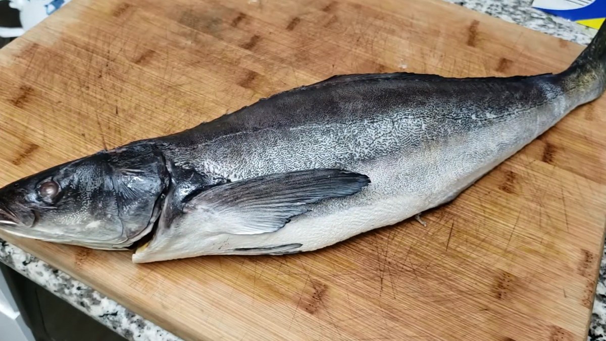 cá bớp nướng muối ớt - ảnh 1