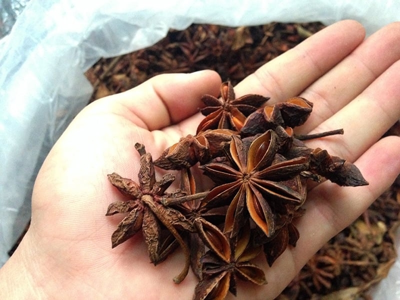 cách sử dụng hoa hồi trong nấu ăn 1