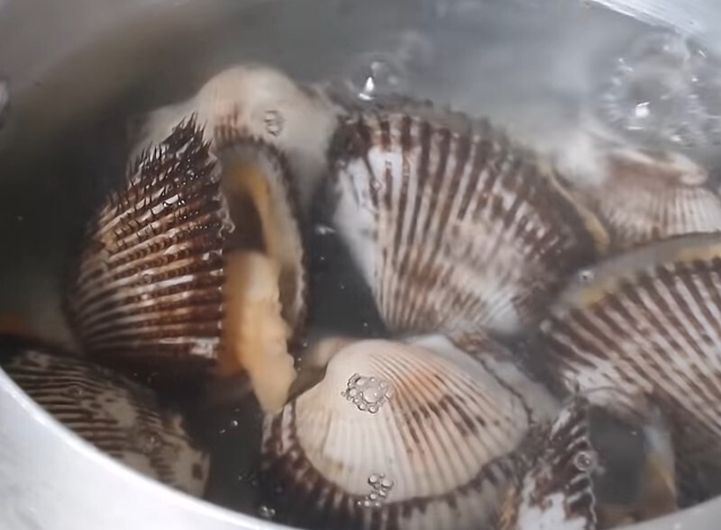 Ngâm sò huyết để loại bỏ chất bẩn