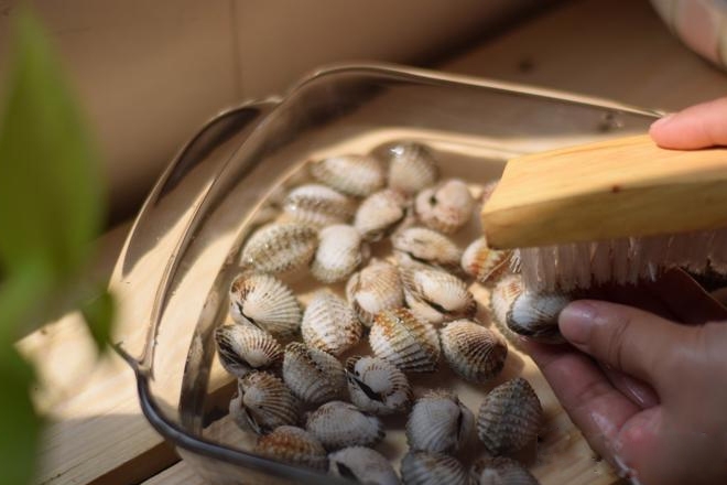 Chà sạch vỏ sò