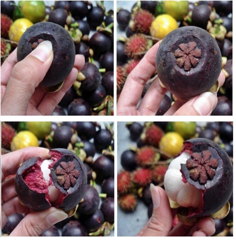 cách ăn măng cụt 7