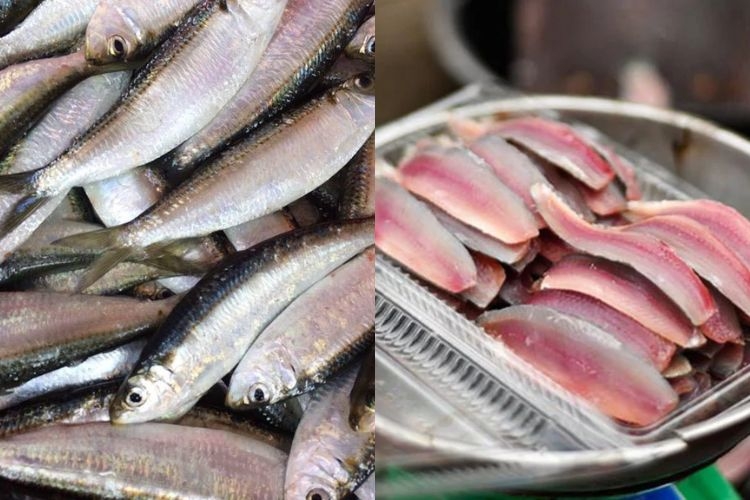 Phi lê cá trích chuẩn bị làm món gỏi