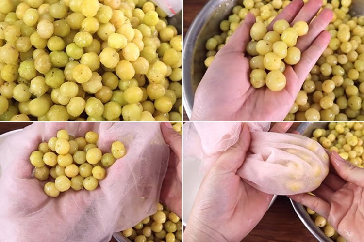 Vắt xả chùm ruột