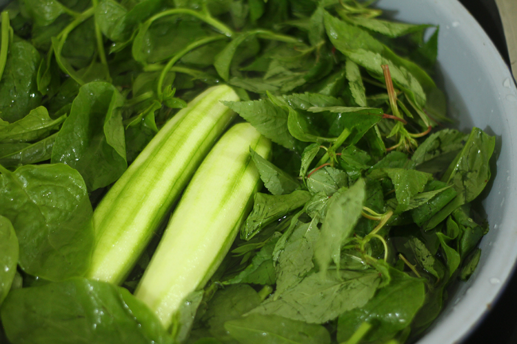 Cách nhặt rau đay