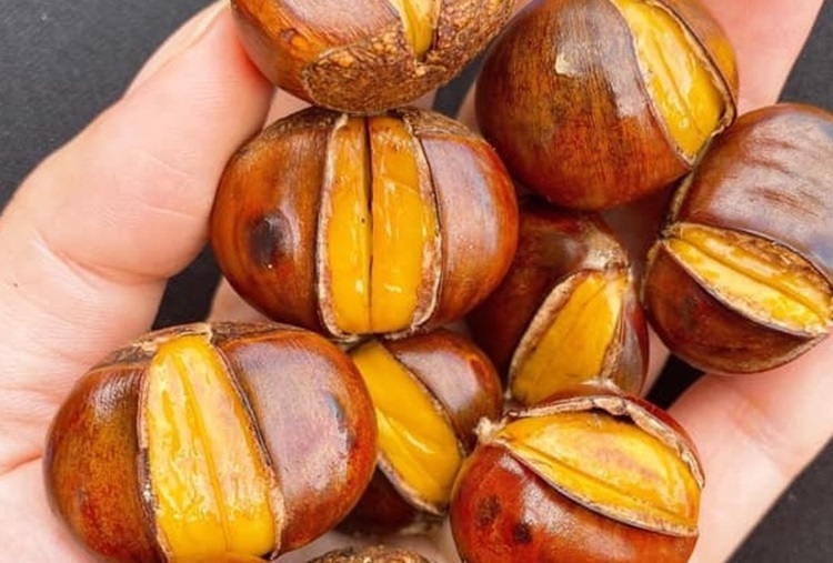 Cách luộc hạt dẻ thơm ngon chỉ với 5 bước cực kỳ đơn giản, ai cũng làm được 5