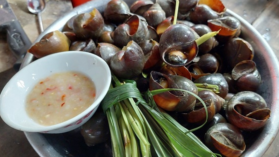 Ốc gác bếp hấp sả.