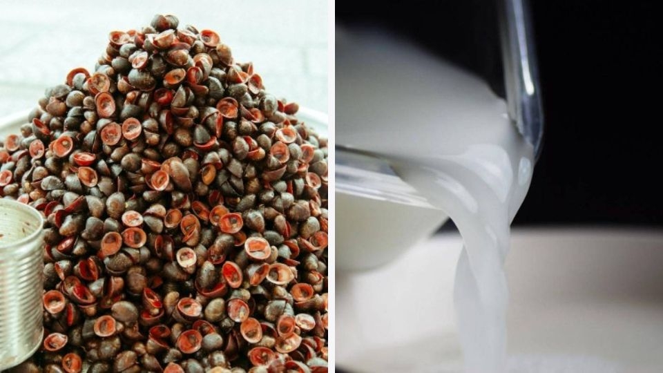 Ốc dừa xào bơ (2)