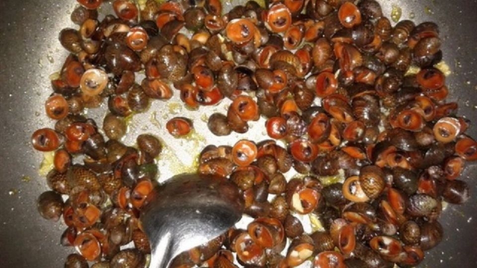 Ốc dừa xào bơ (4)