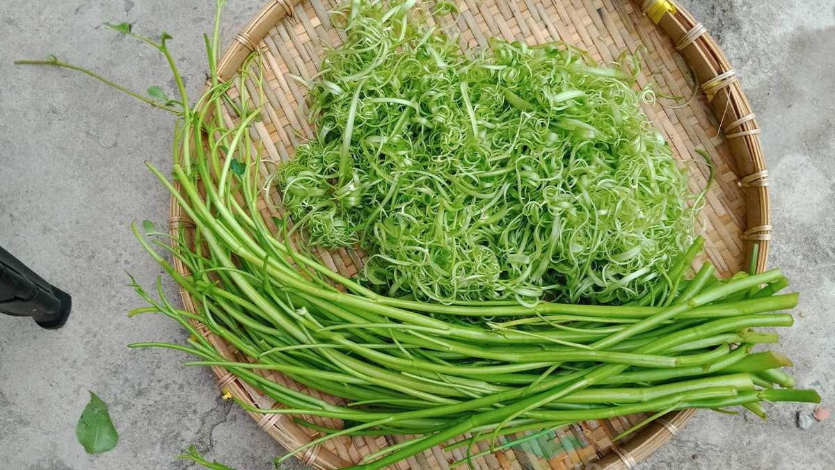 Rau muống xanh và non ăn sẽ giòn ngọt, ngon hơn