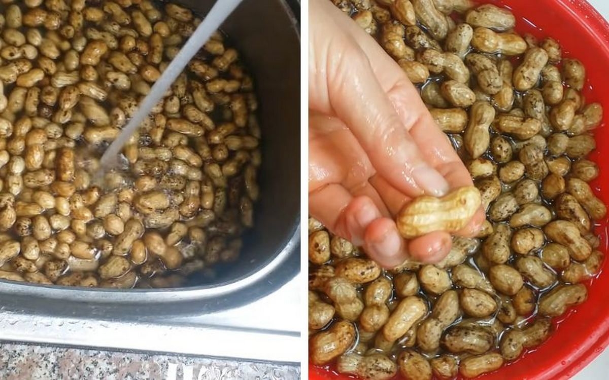 cách luộc lạc trắng - hình 2