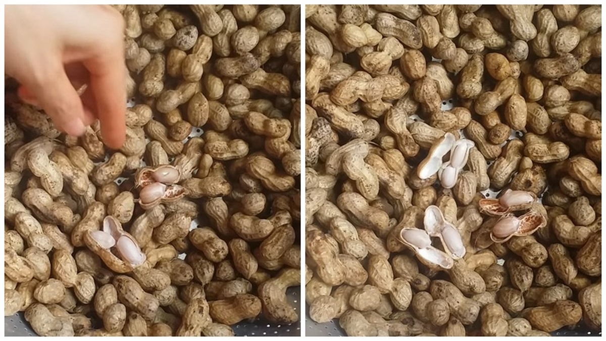 cách luộc lạc trắng - hình 4