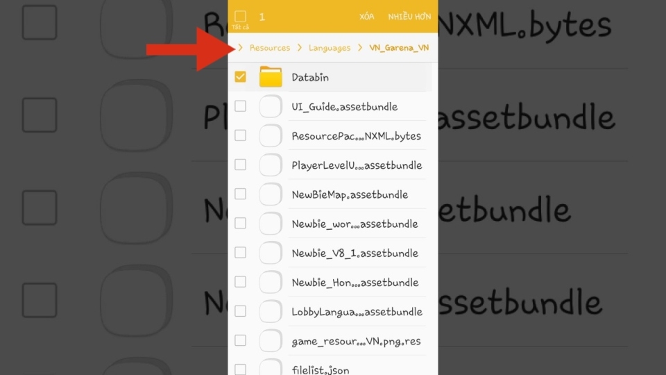 Tiếp tục chọn theo đường dẫn Files/Resources/Languages