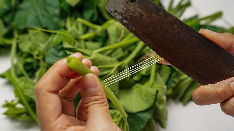 đọt bí xào tỏi 2