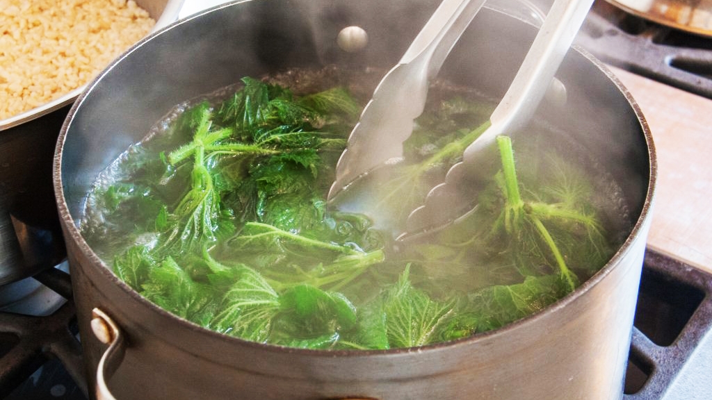 đọt bí xào tỏi 4