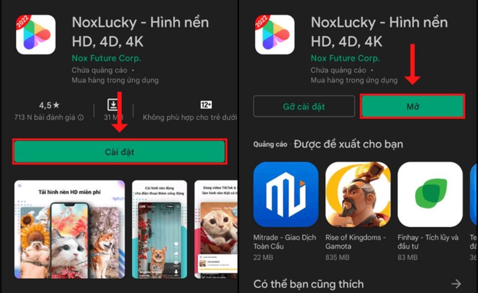 cài đặt noxlucky