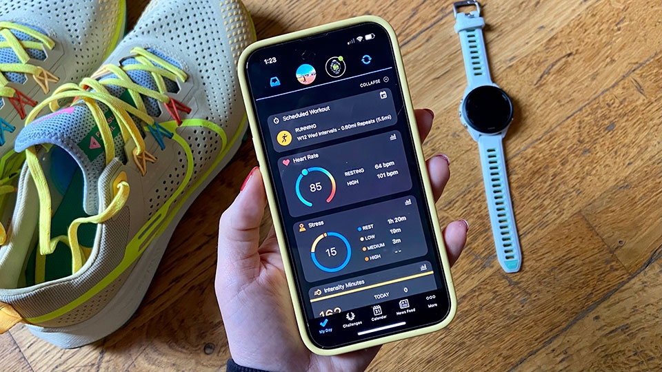 Garmin Connect - Ảnh 01
