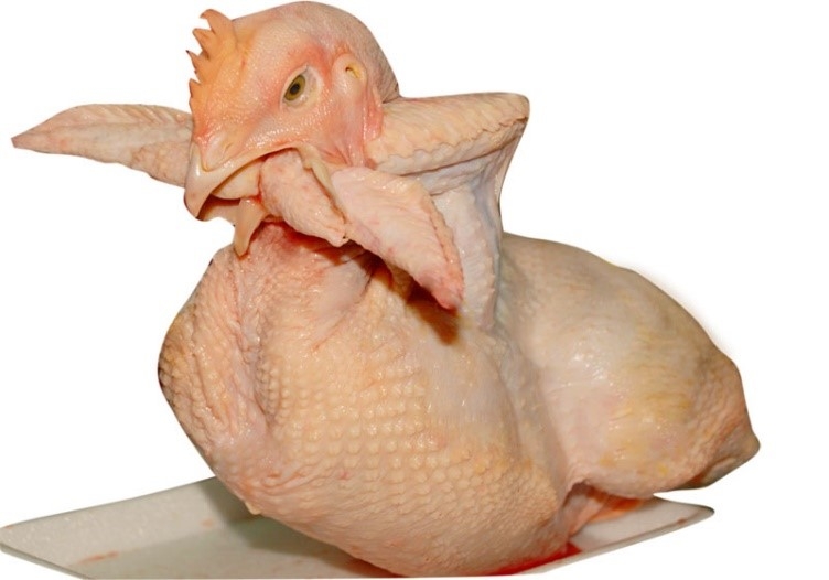 cách luộc gà cúng ngon 1