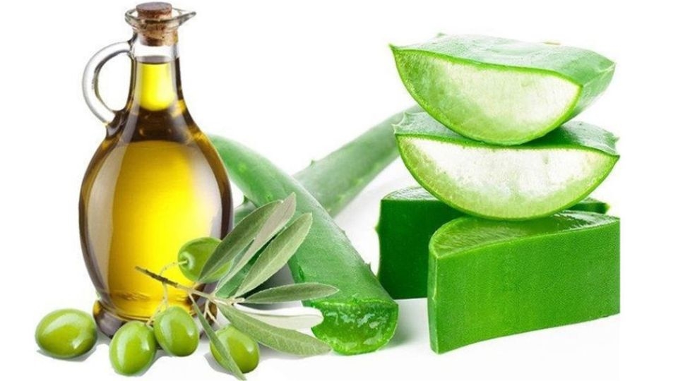 Nha đam và dầu dừa là hỗn hợp cung cấp dinh dưỡng cho tóc