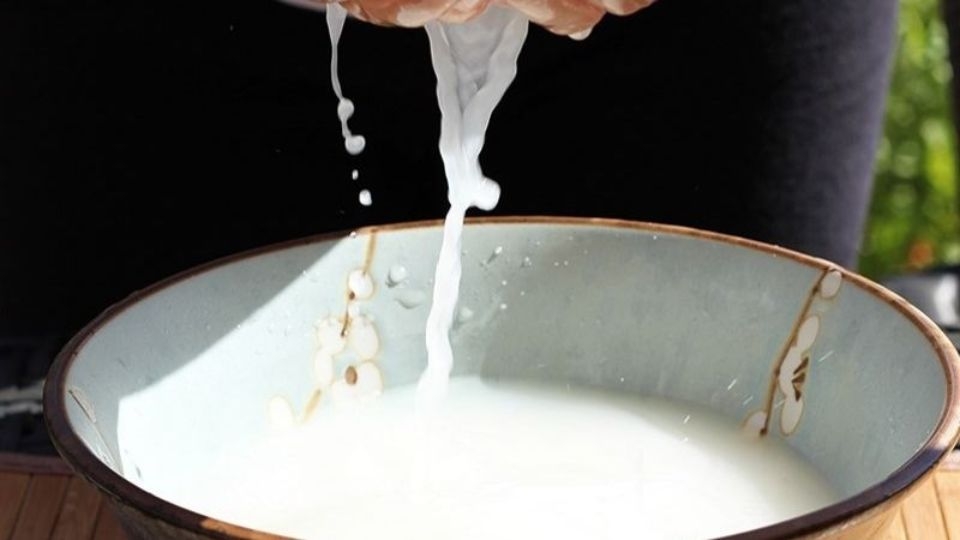 Trong nước gạo có chứa vitamin B và các dưỡng chất nuôi dưỡng tóc