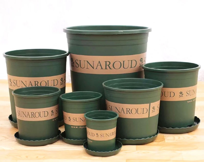 Hoa hồng trắng có ý nghĩa gì hình 5