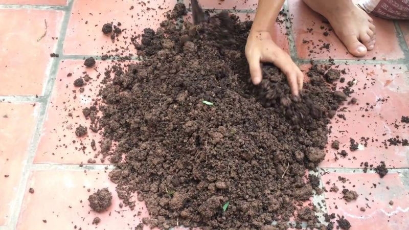 Hoa hồng trắng có ý nghĩa gì hình 7