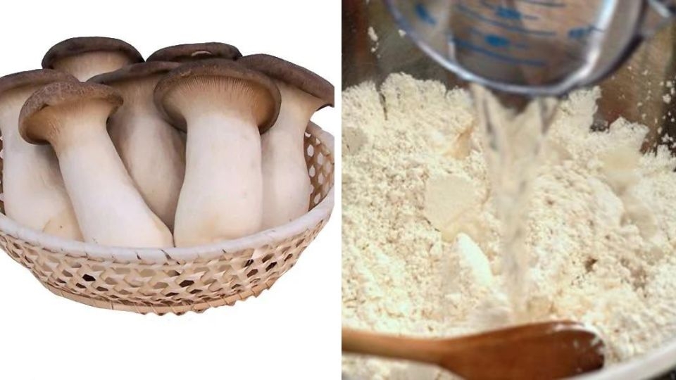 Nấm đùi gà chiên (8)