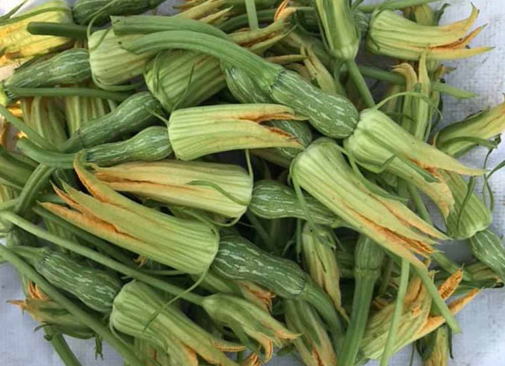 bông bí xào tỏi 05
