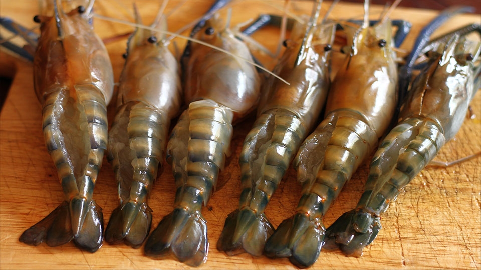 Chẻ đôi tôm dọc theo thân