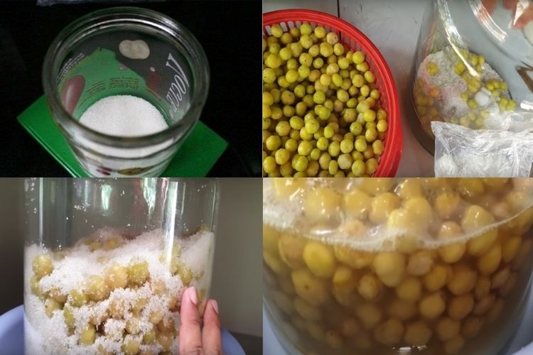 chùm ruột ngâm (hình 3)