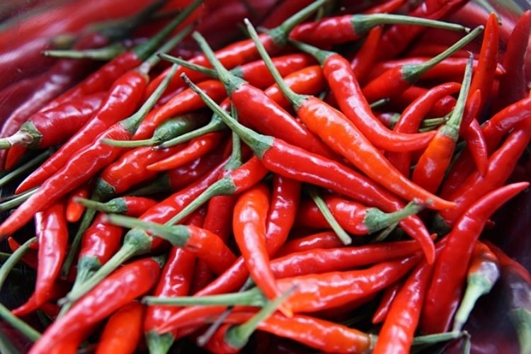 cách sơ chế măng tươi (hình 1)