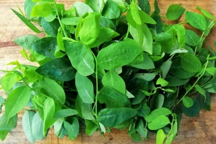 cách sơ chế măng tươi (hình 4)