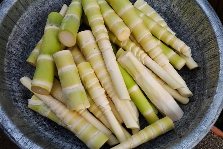 cách sơ chế măng tươi (hình 6)
