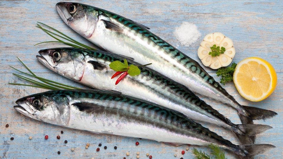 Cá thu tươi ngon là cá có mắt trong và hơi lồi nhẹ