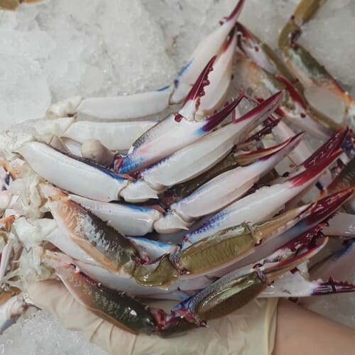 càng ghẹ rang me - ảnh 2