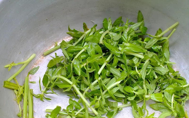 Rau ngò om cắt nhỏ