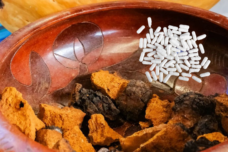 Dạng viên nang và bột