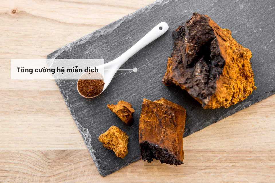 Tác dụng tăng cường hệ miễn dịch