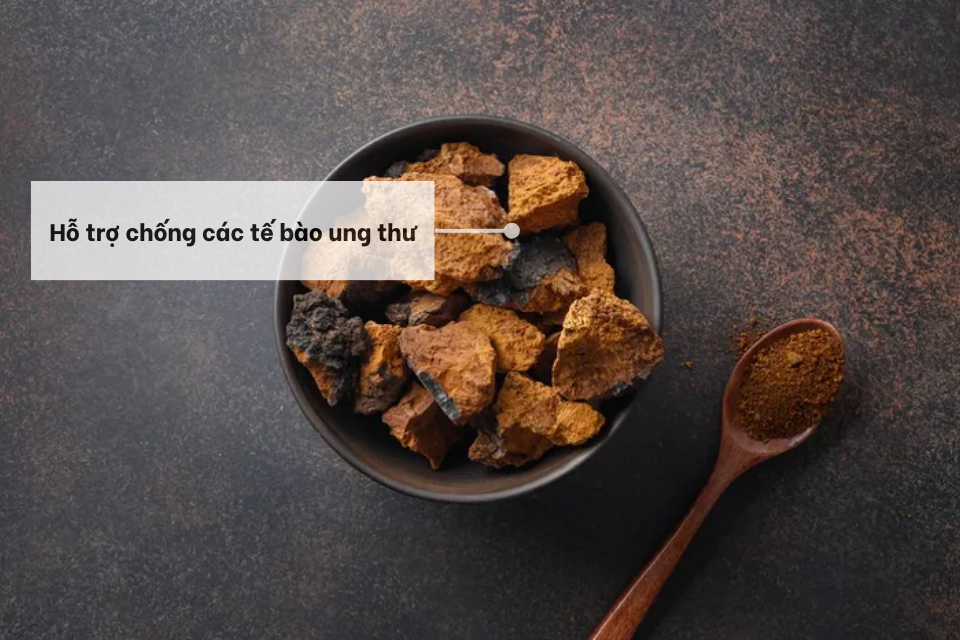 Tác dụng chống tế bào ung thư