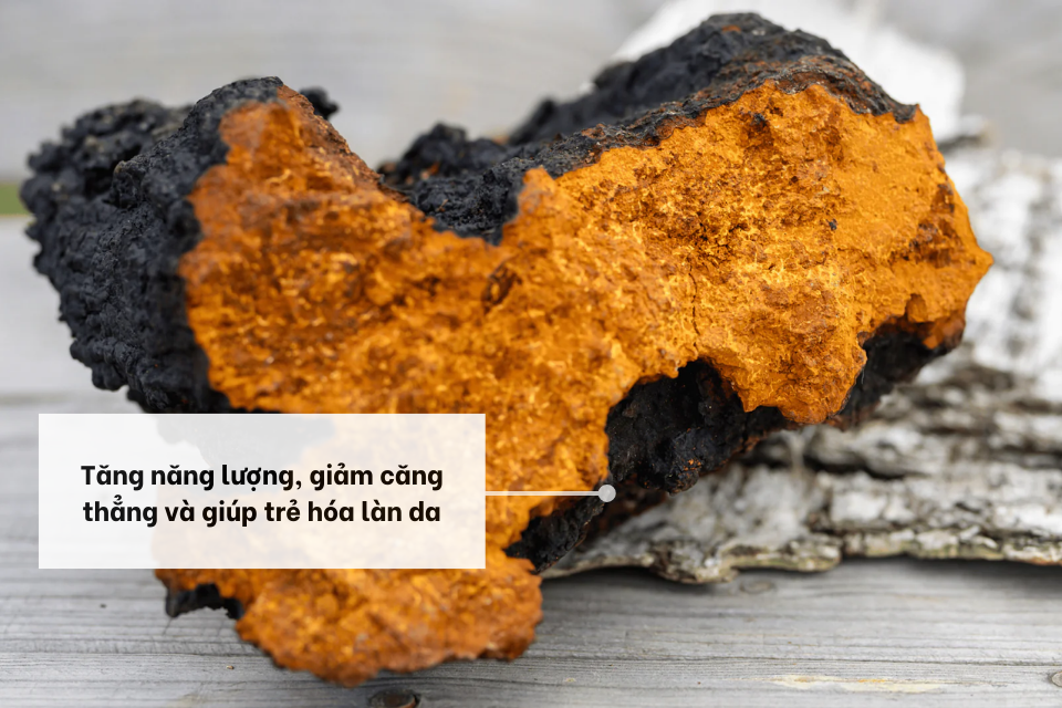 Tác dụng tăng năng lượng