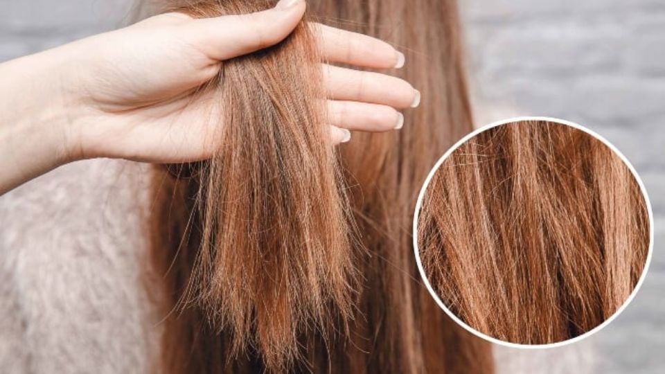 Để hạn chế khô xơ nên ủ tóc collagen 2 lần/ tuần