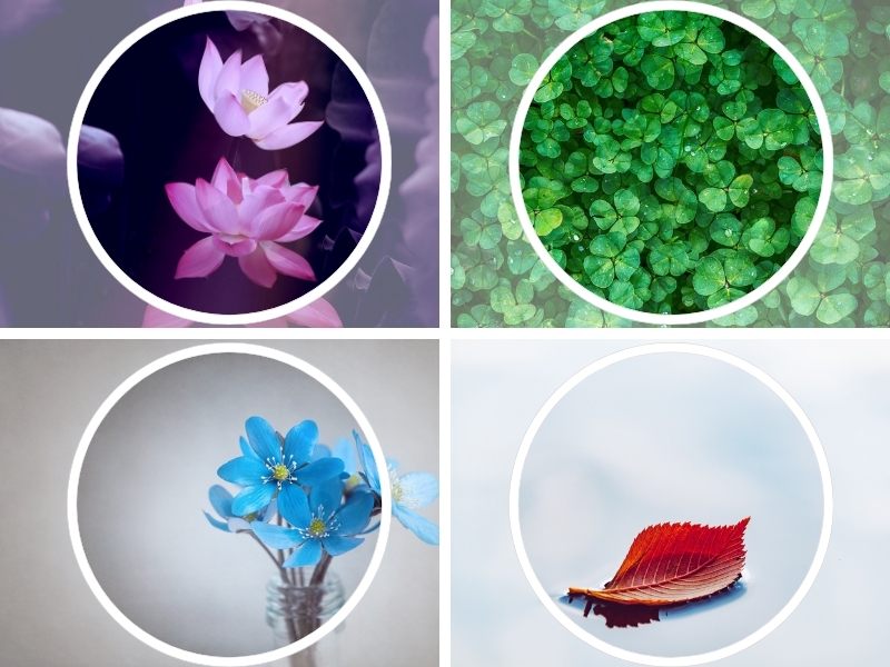 Tổng hợp avatar đẹp nhất 1