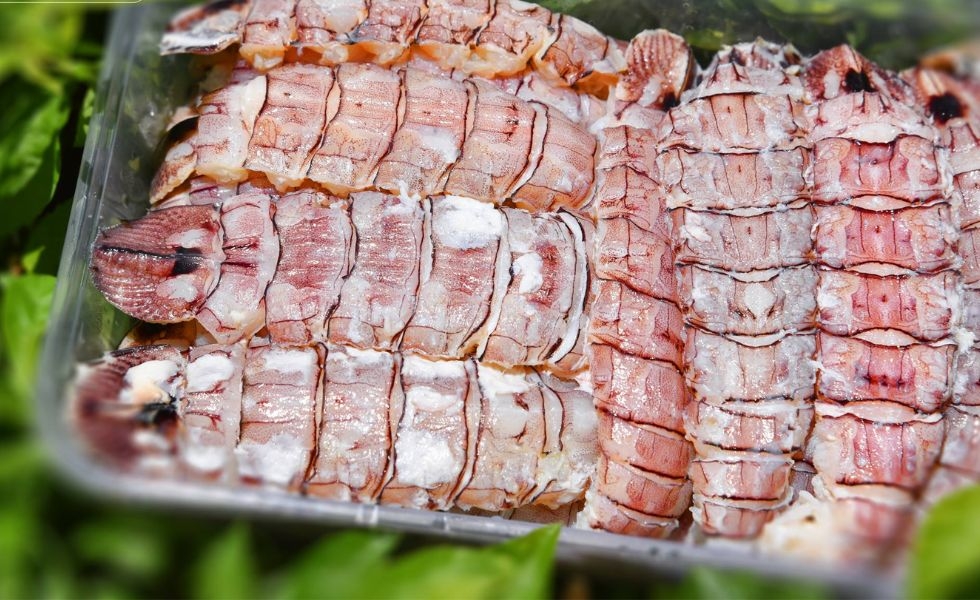nõn bề bề