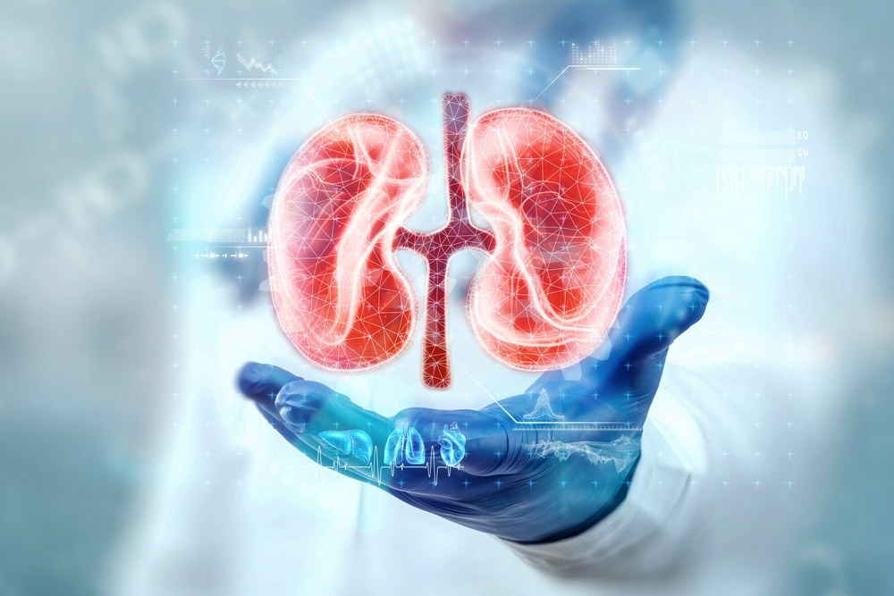 thâm hụt calo hình 5