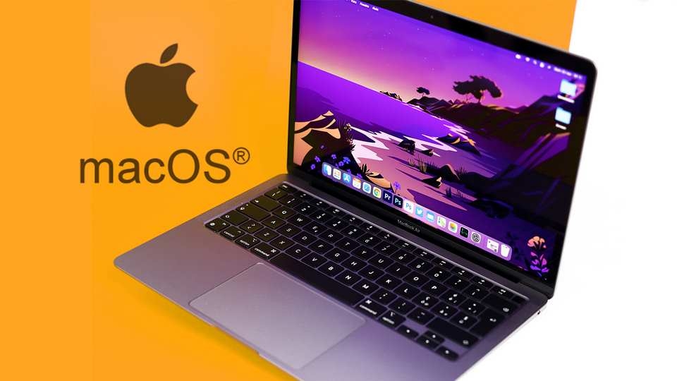 Thực hiện các quy trình cập nhật chuẩn xác