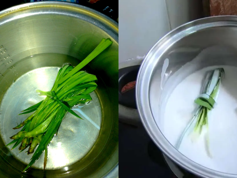 Nấu lá dứa nước cốt dừa