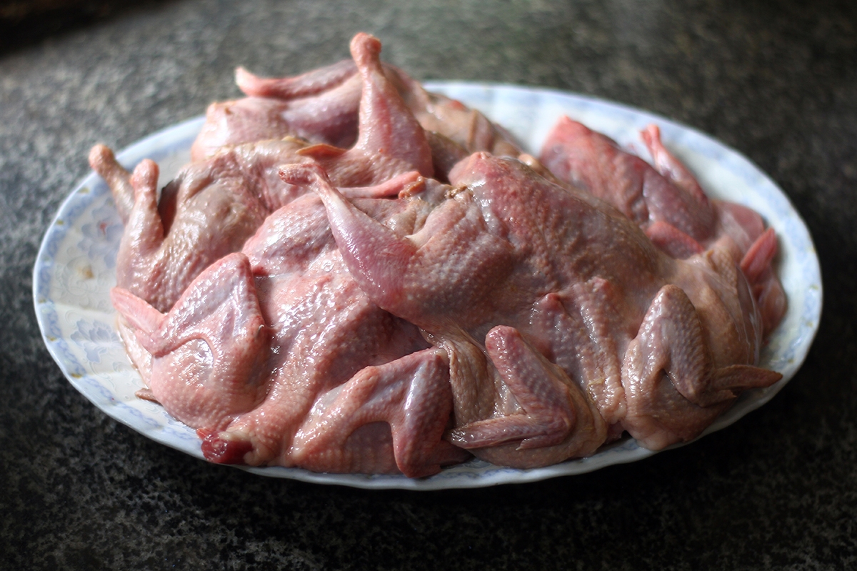 Làm sạch chim cút