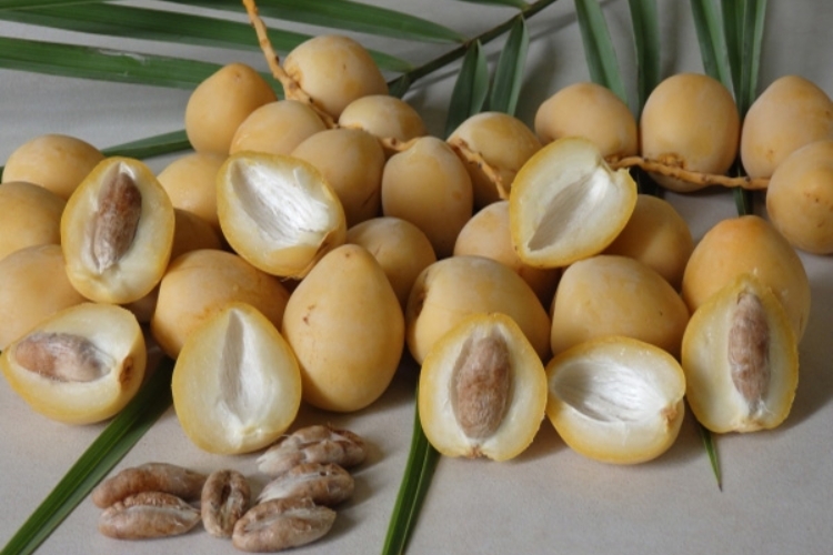 Cách ăn chà là tươi