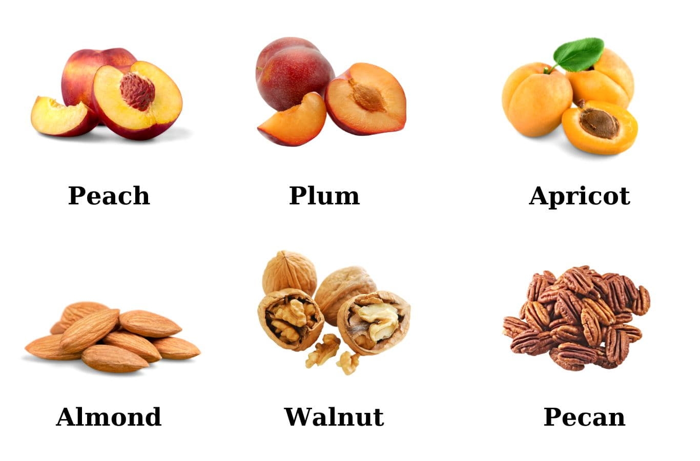Các loại quả hạch